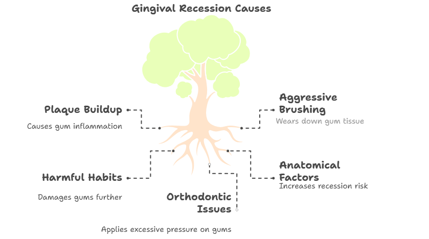 gum recession causes