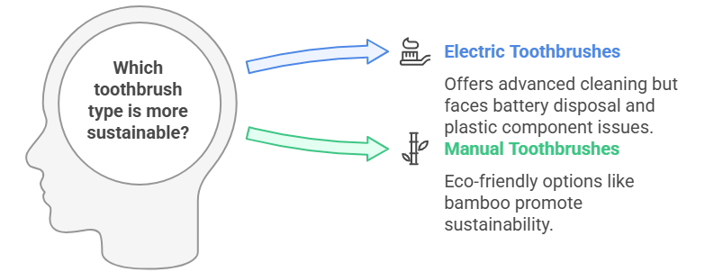 environmental toothbrush